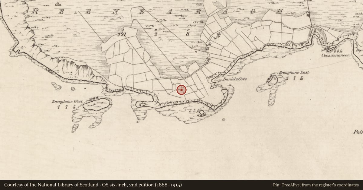 Ordnance Survey six-inch map, 2nd edition (1888–1915) covering the location of Ringfort - rath, An Rinn Iarthach, County Kerry, with a pin at the register's coordinates
