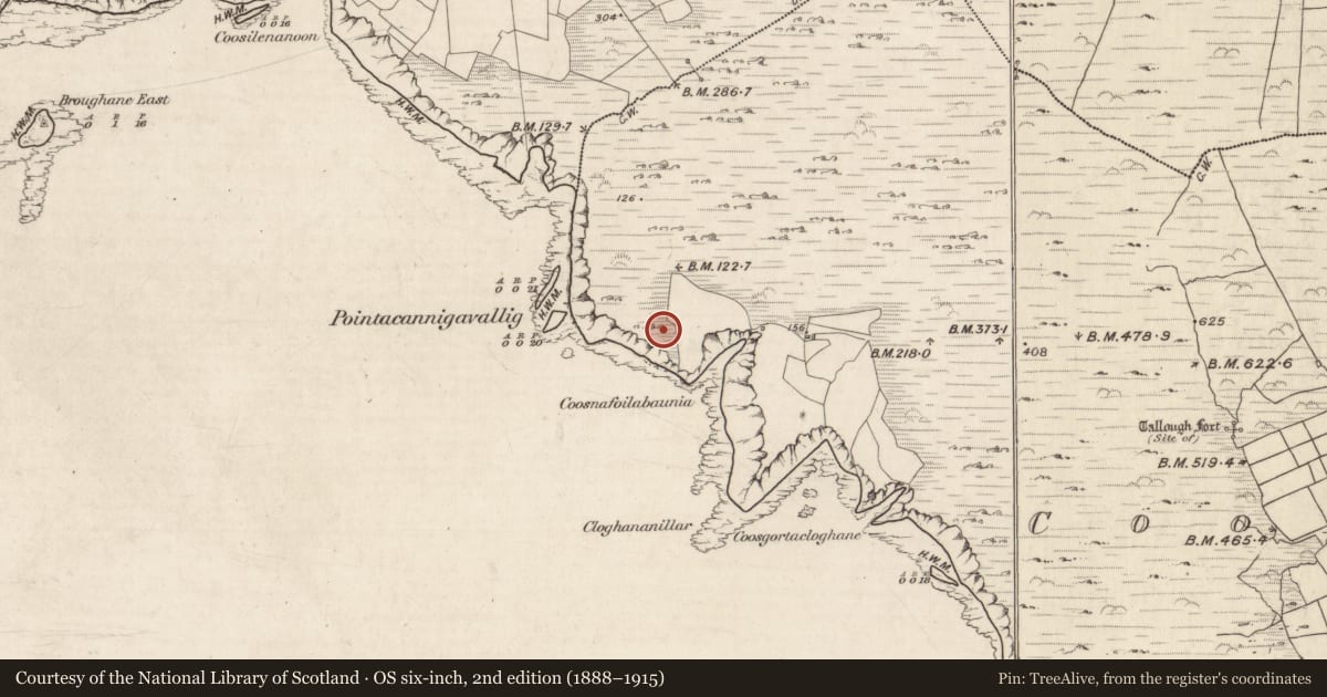 Ordnance Survey six-inch map, 2nd edition (1888–1915) covering the location of Ringfort - rath, Com An Tsleabhcháin, County Kerry, with a pin at the register's coordinates
