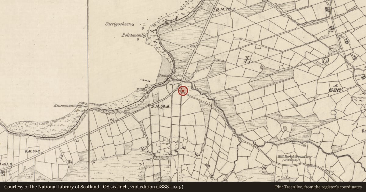 Ordnance Survey six-inch map, 2nd edition (1888–1915) covering the location of Enclosure, An Rinnín, County Kerry, with a pin at the register's coordinates