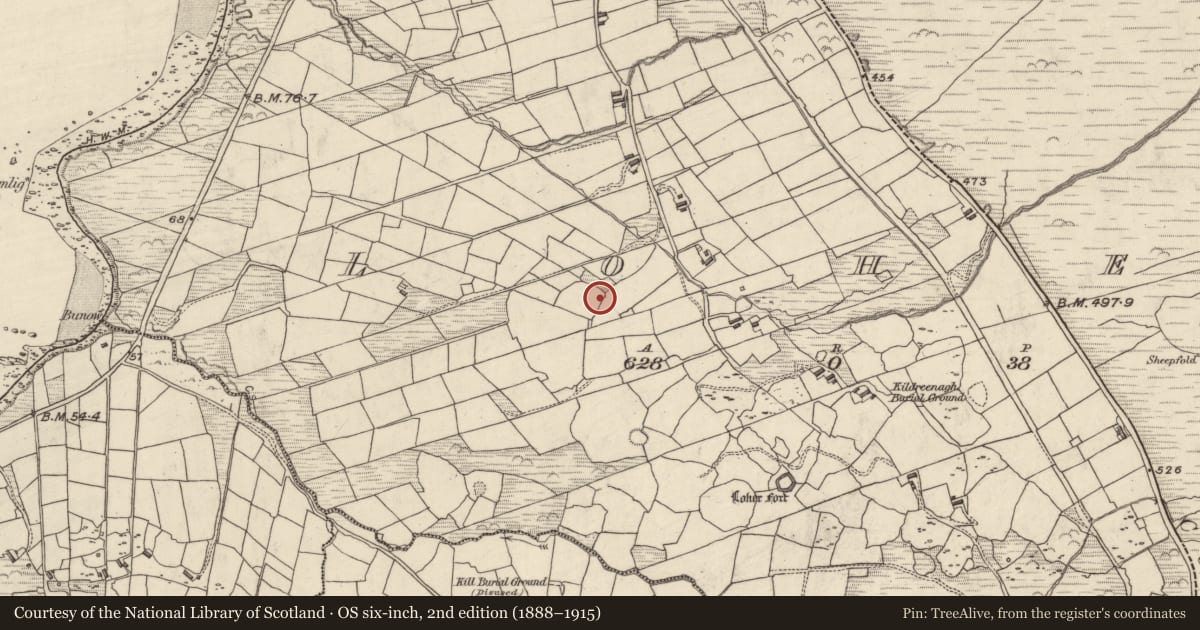 Ordnance Survey six-inch map, 2nd edition (1888–1915) covering the location of Megalithic tomb - unclassified, An Lóthar, County Kerry, with a pin at the register's coordinates