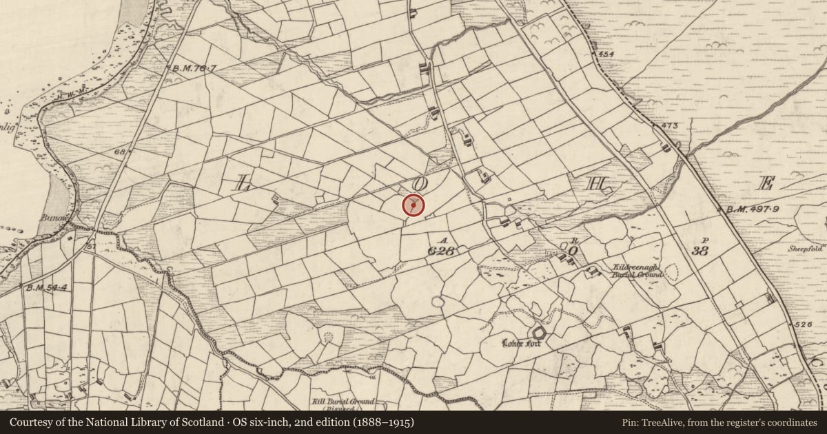 Ordnance Survey six-inch map, 2nd edition (1888–1915) covering the location of Hut site, An Lóthar, County Kerry, with a pin at the register's coordinates