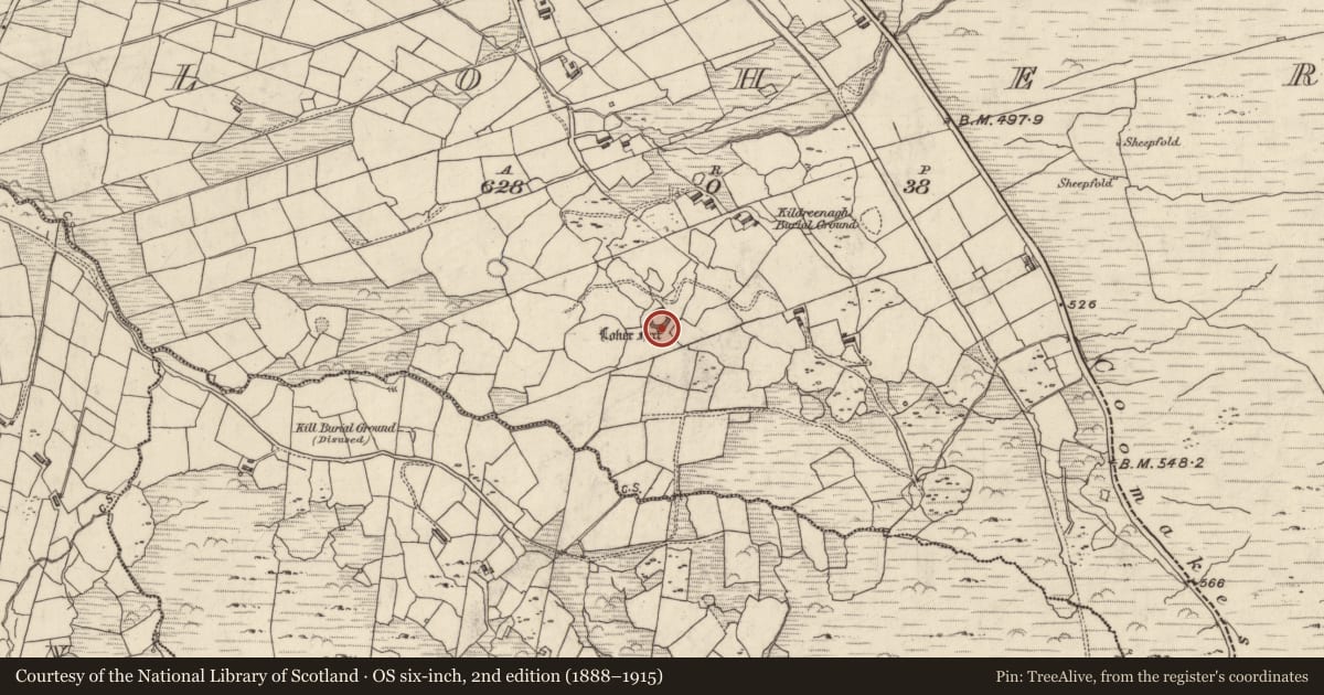 Ordnance Survey six-inch map, 2nd edition (1888–1915) covering the location of Rock art, An Lóthar, County Kerry, with a pin at the register's coordinates