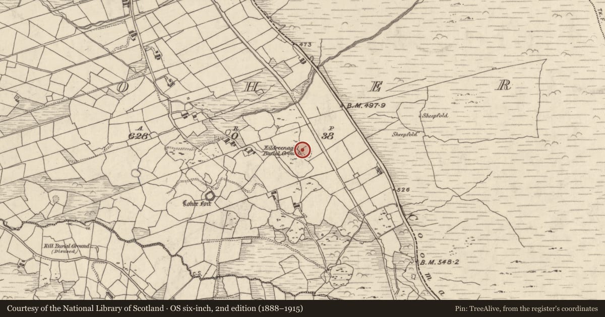 Ordnance Survey six-inch map, 2nd edition (1888–1915) covering the location of Hut site, An Lóthar, County Kerry, with a pin at the register's coordinates