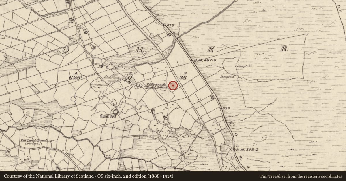 Ordnance Survey six-inch map, 2nd edition (1888–1915) covering the location of Cross-slab, An Lóthar, County Kerry, with a pin at the register's coordinates