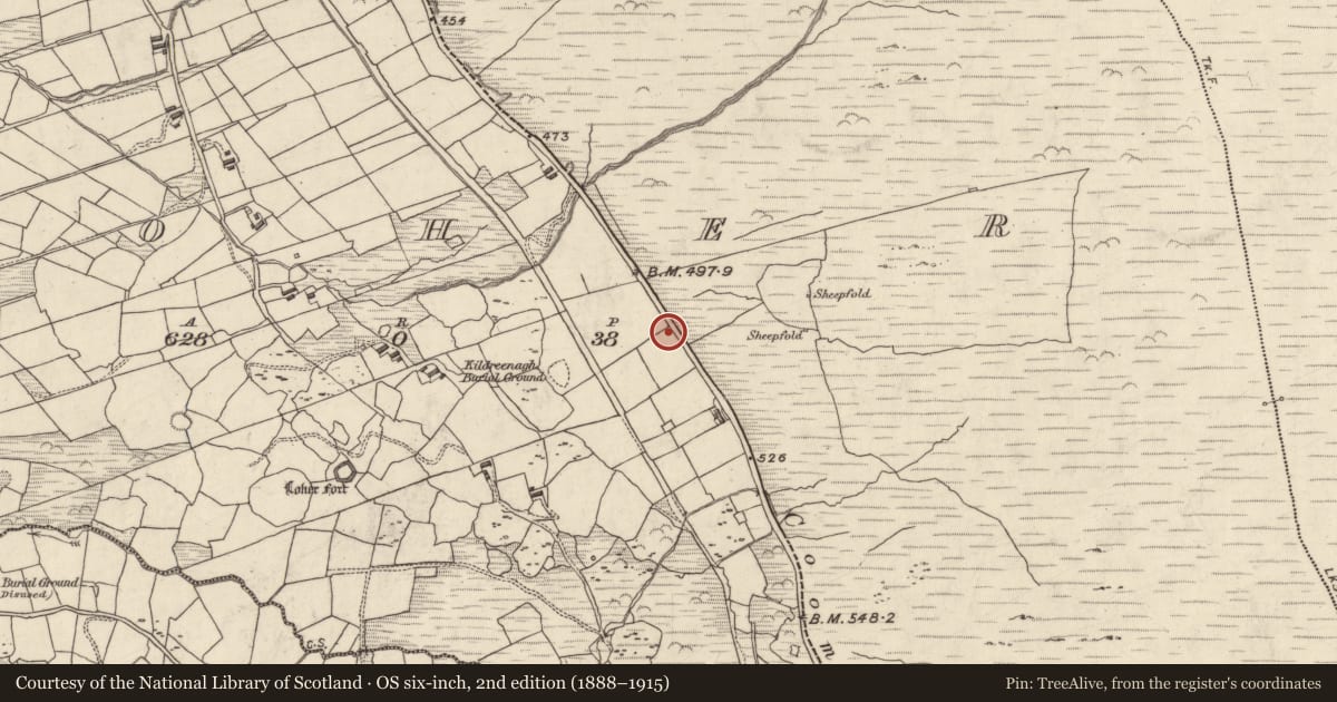 Ordnance Survey six-inch map, 2nd edition (1888–1915) covering the location of Ringfort - cashel, An Lóthar, County Kerry, with a pin at the register's coordinates