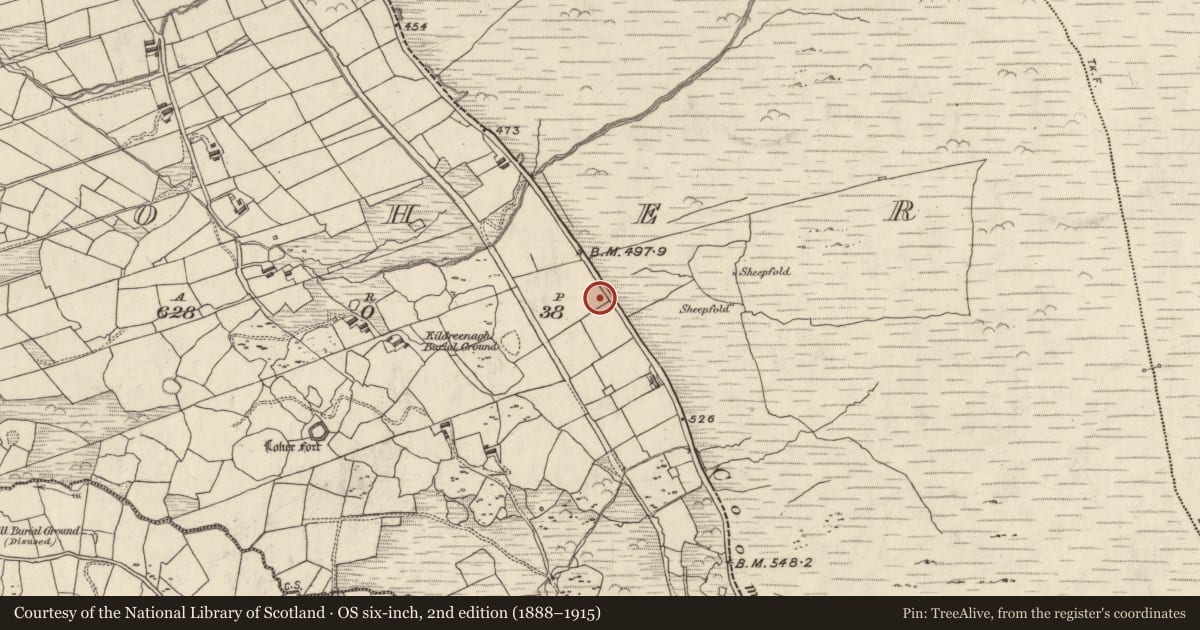 Ordnance Survey six-inch map, 2nd edition (1888–1915) covering the location of Enclosure, An Lóthar, County Kerry, with a pin at the register's coordinates