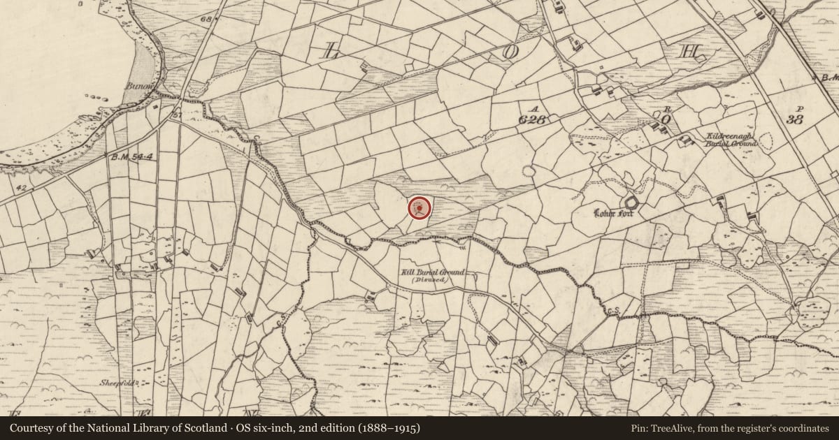 Ordnance Survey six-inch map, 2nd edition (1888–1915) covering the location of Enclosure, An Lóthar, County Kerry, with a pin at the register's coordinates