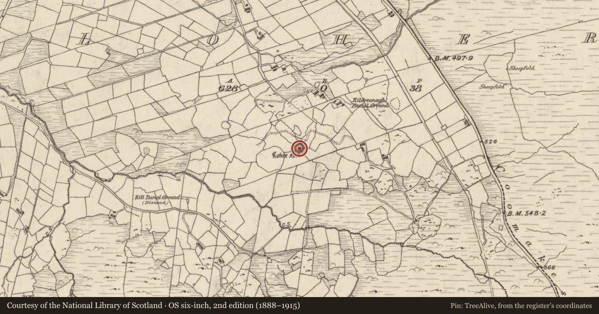 Ordnance Survey six-inch map, 2nd edition (1888–1915) covering the location of Ringfort - cashel, An Lóthar, County Kerry, with a pin at the register's coordinates