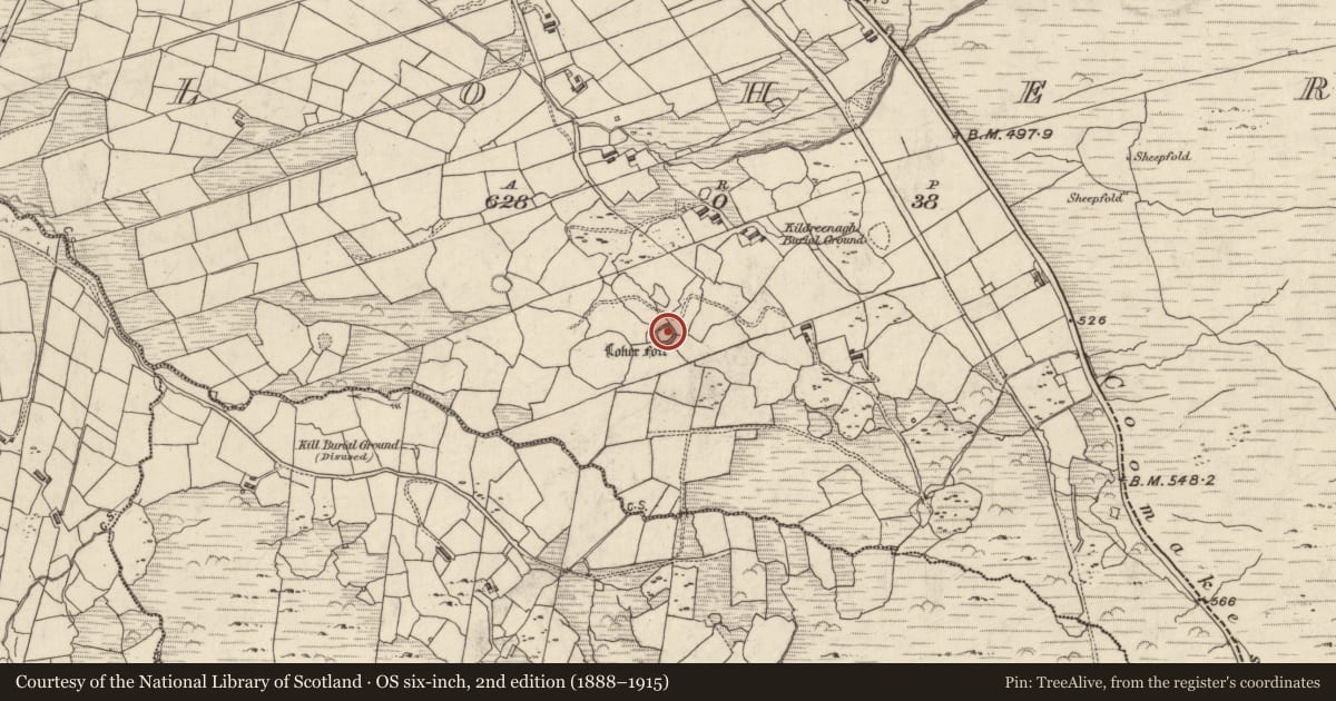 Ordnance Survey six-inch map, 2nd edition (1888–1915) covering the location of Souterrain, An Lóthar, County Kerry, with a pin at the register's coordinates