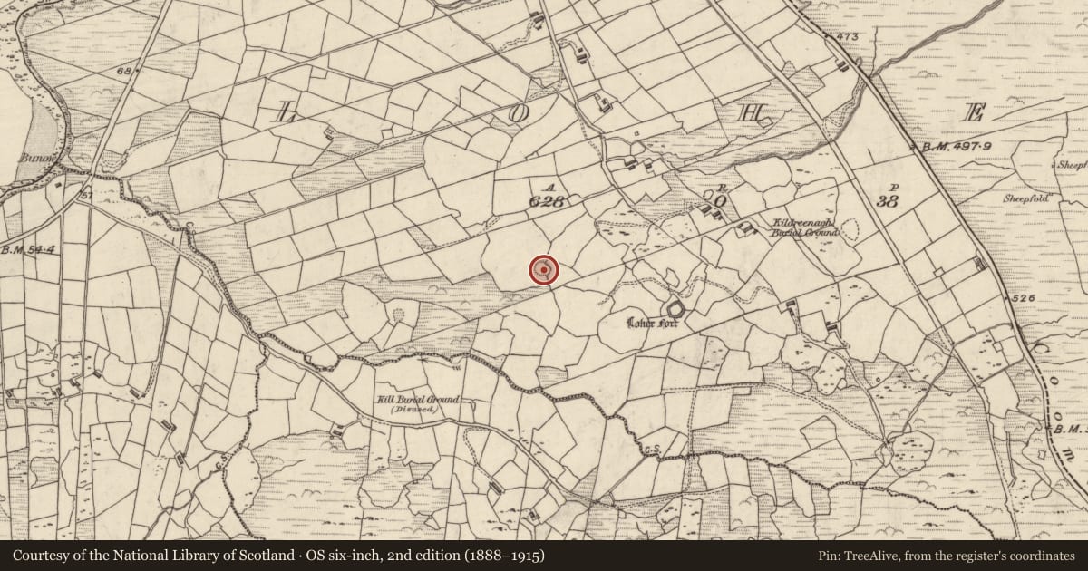 Ordnance Survey six-inch map, 2nd edition (1888–1915) covering the location of Ringfort - cashel, An Lóthar, County Kerry, with a pin at the register's coordinates