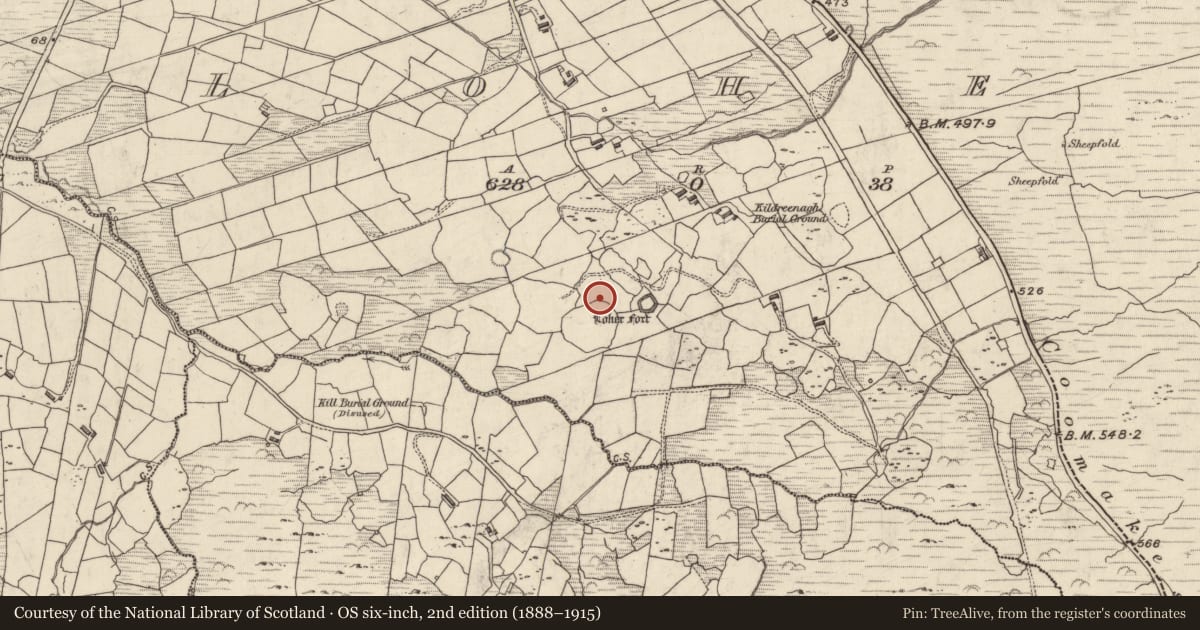 Ordnance Survey six-inch map, 2nd edition (1888–1915) covering the location of Field boundary, An Lóthar, County Kerry, with a pin at the register's coordinates