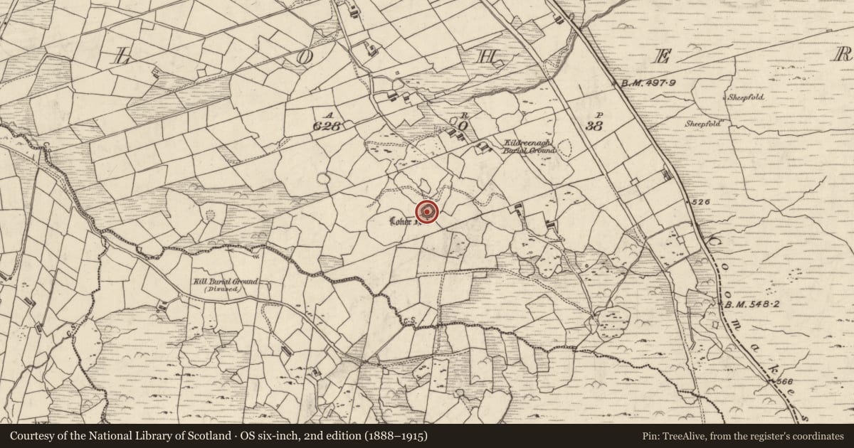 Ordnance Survey six-inch map, 2nd edition (1888–1915) covering the location of House - early medieval, An Lóthar, County Kerry, with a pin at the register's coordinates
