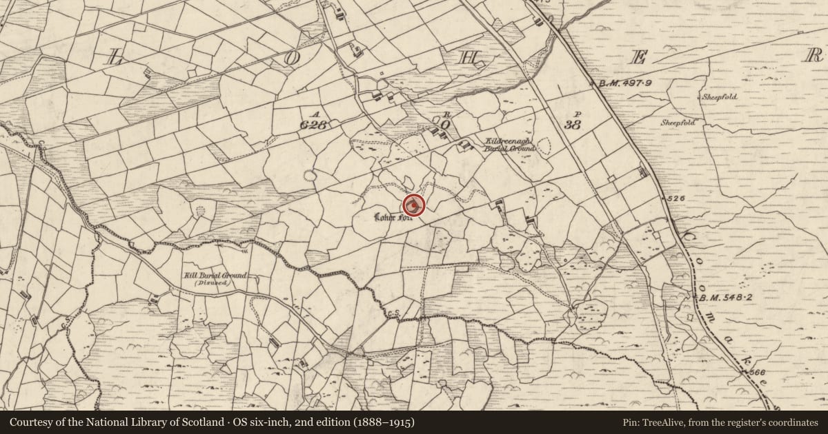 Ordnance Survey six-inch map, 2nd edition (1888–1915) covering the location of House - early medieval, An Lóthar, County Kerry, with a pin at the register's coordinates