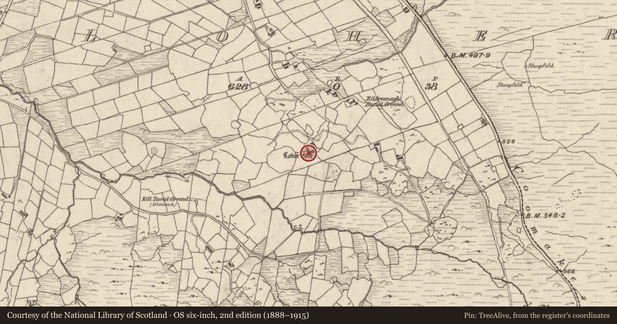 Ordnance Survey six-inch map, 2nd edition (1888–1915) covering the location of Rock art, An Lóthar, County Kerry, with a pin at the register's coordinates