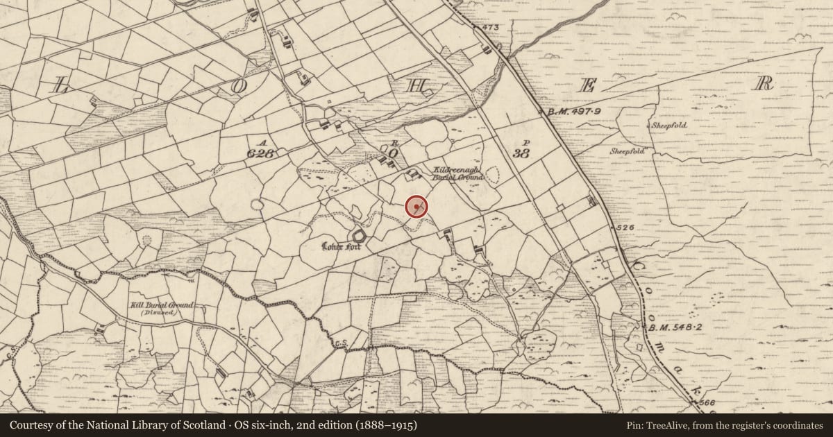 Ordnance Survey six-inch map, 2nd edition (1888–1915) covering the location of Enclosure, An Lóthar, County Kerry, with a pin at the register's coordinates