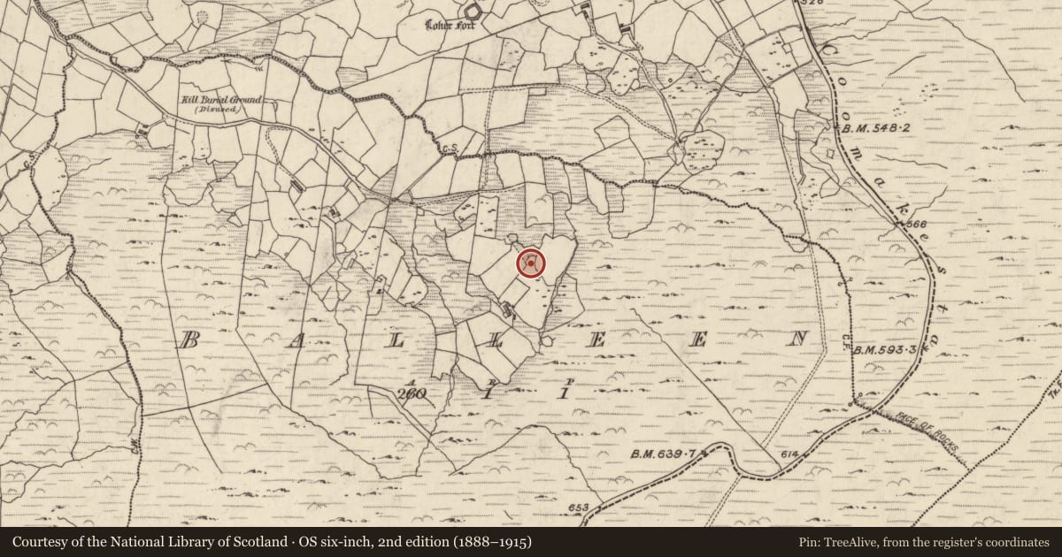 Ordnance Survey six-inch map, 2nd edition (1888–1915) covering the location of Ringfort - cashel, Bailín, County Kerry, with a pin at the register's coordinates