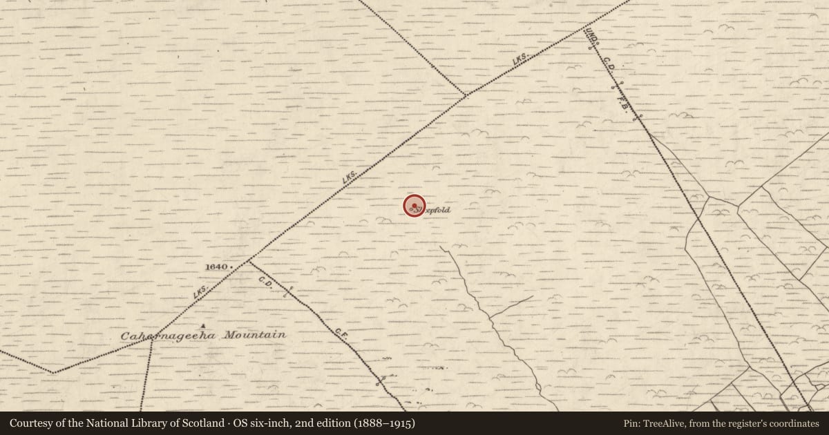 Ordnance Survey six-inch map, 2nd edition (1888–1915) covering the location of Field boundary, Com Na Heorna Thiar, County Kerry, with a pin at the register's coordinates
