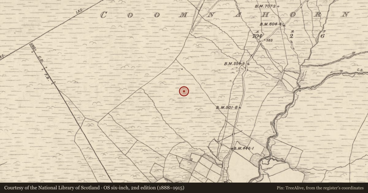 Ordnance Survey six-inch map, 2nd edition (1888–1915) covering the location of Hut site, Com Na Heorna Thoir, County Kerry, with a pin at the register's coordinates