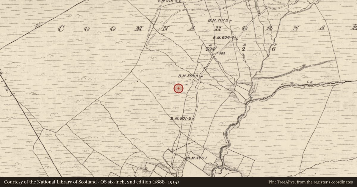 Ordnance Survey six-inch map, 2nd edition (1888–1915) covering the location of Hut site, Com Na Heorna Thoir, County Kerry, with a pin at the register's coordinates