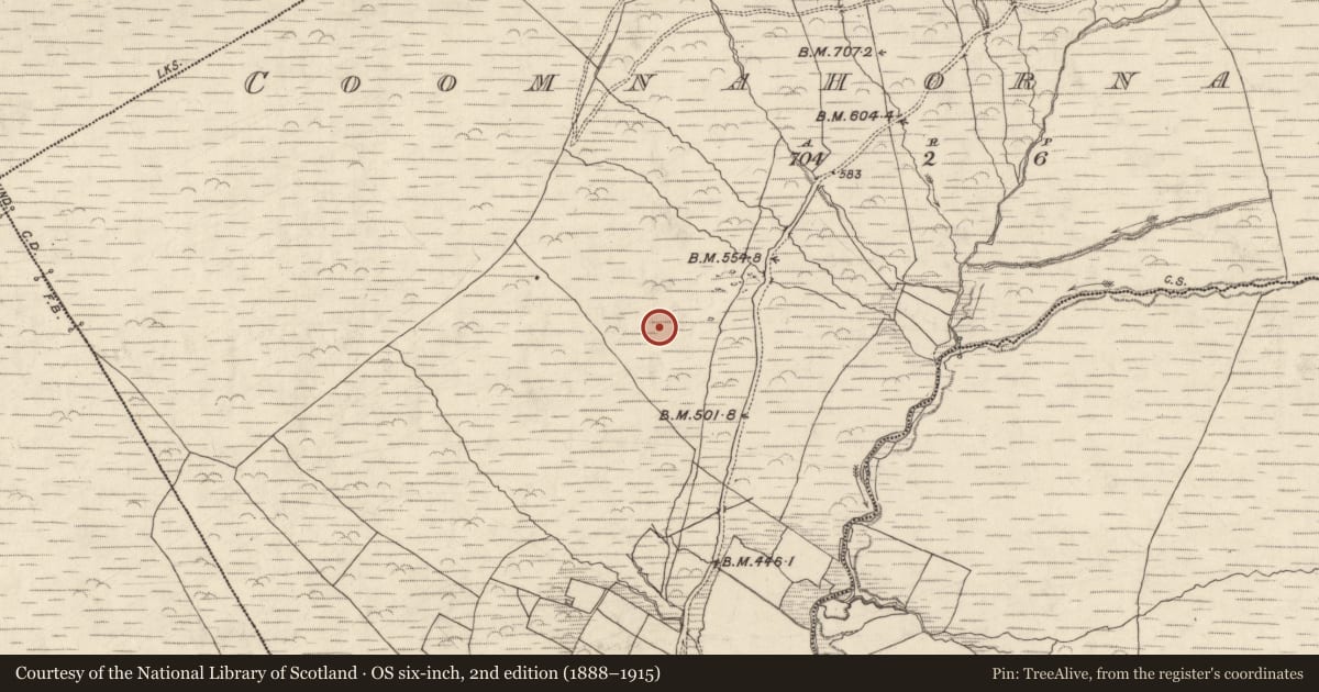 Ordnance Survey six-inch map, 2nd edition (1888–1915) covering the location of Field boundary, Com Na Heorna Thoir, County Kerry, with a pin at the register's coordinates