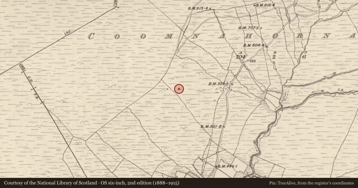 Ordnance Survey six-inch map, 2nd edition (1888–1915) covering the location of Hut site, Com Na Heorna Thoir, County Kerry, with a pin at the register's coordinates
