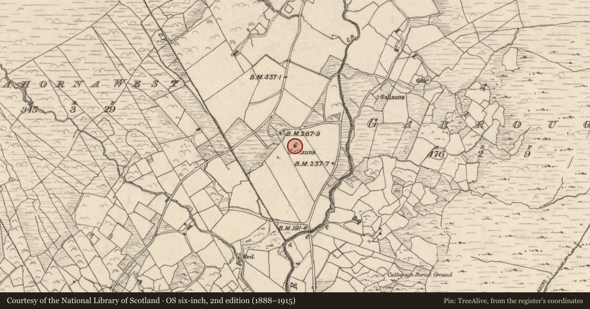 Ordnance Survey six-inch map, 2nd edition (1888–1915) covering the location of Standing stone - pair, Com Na Heorna Thoir, County Kerry, with a pin at the register's coordinates