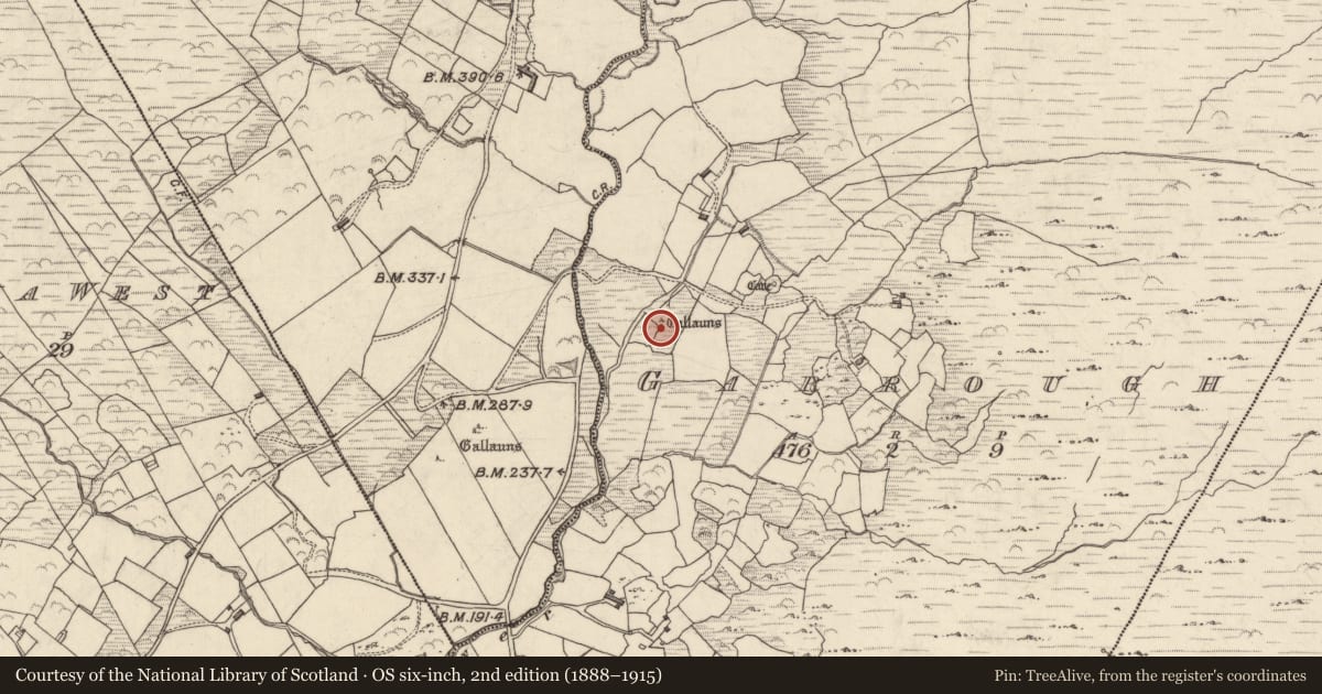 Ordnance Survey six-inch map, 2nd edition (1888–1915) covering the location of Stone row, Garrough, County Kerry, with a pin at the register's coordinates