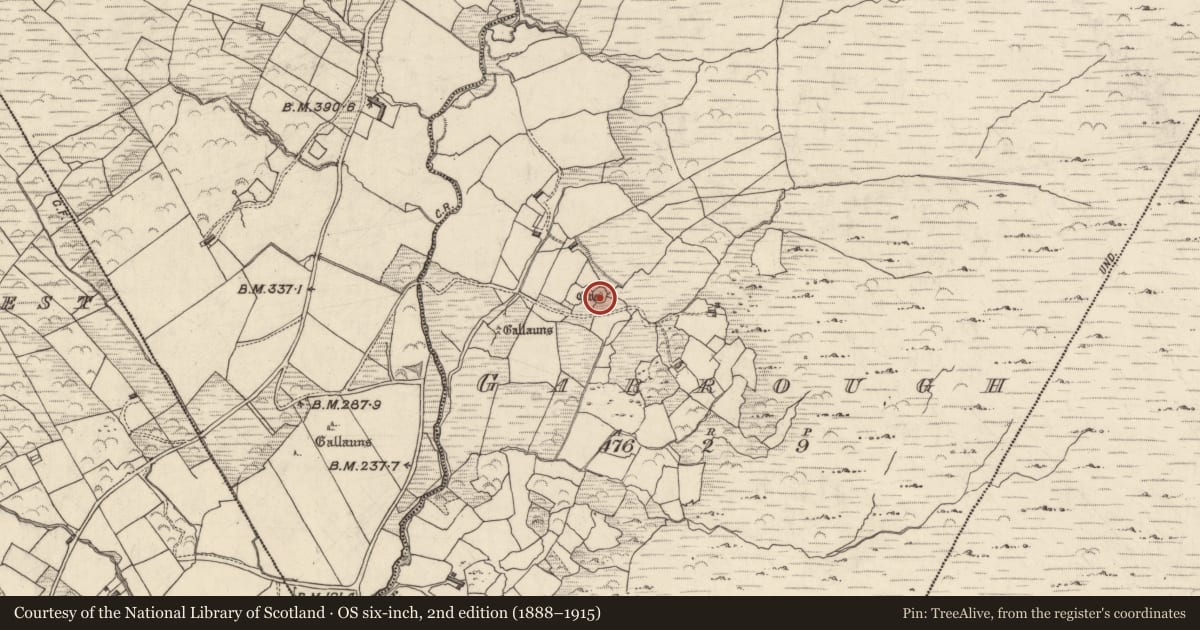 Ordnance Survey six-inch map, 2nd edition (1888–1915) covering the location of Ringfort - cashel, Garrough, County Kerry, with a pin at the register's coordinates