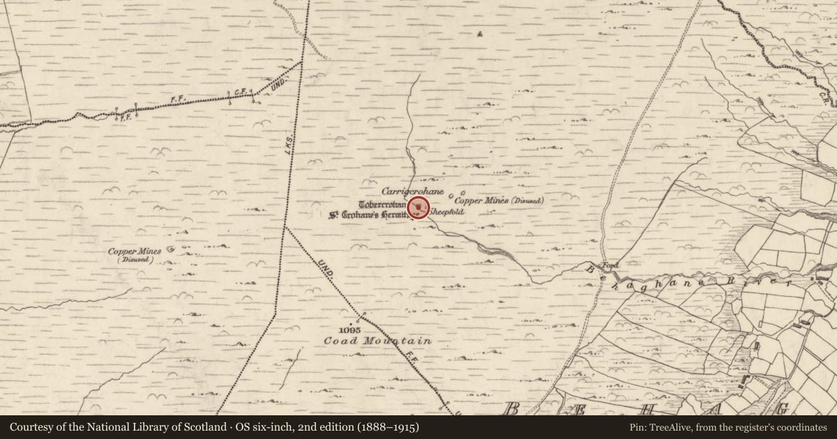 Ordnance Survey six-inch map, 2nd edition (1888–1915) covering the location of Hermitage, Behaghane, County Kerry, with a pin at the register's coordinates