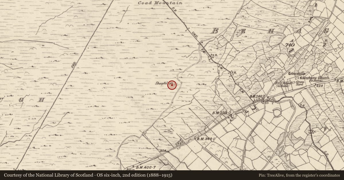 Ordnance Survey six-inch map, 2nd edition (1888–1915) covering the location of Hut site, Coad, County Kerry, with a pin at the register's coordinates