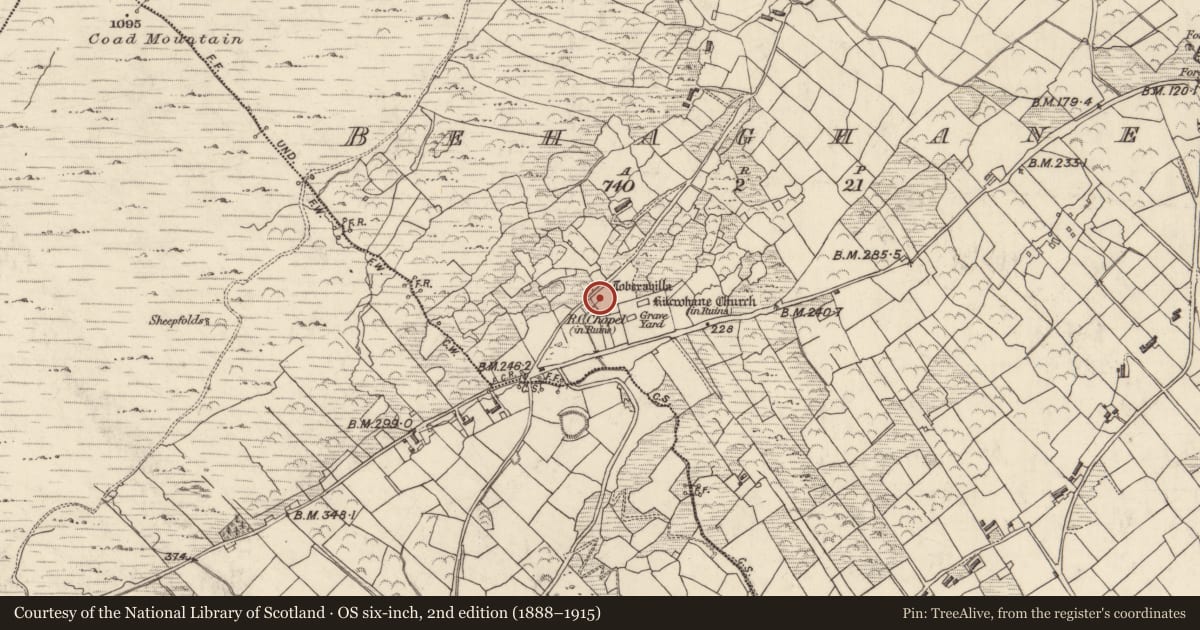 Ordnance Survey six-inch map, 2nd edition (1888–1915) covering the location of Ritual site - holy tree/bush, Behaghane, County Kerry, with a pin at the register's coordinates