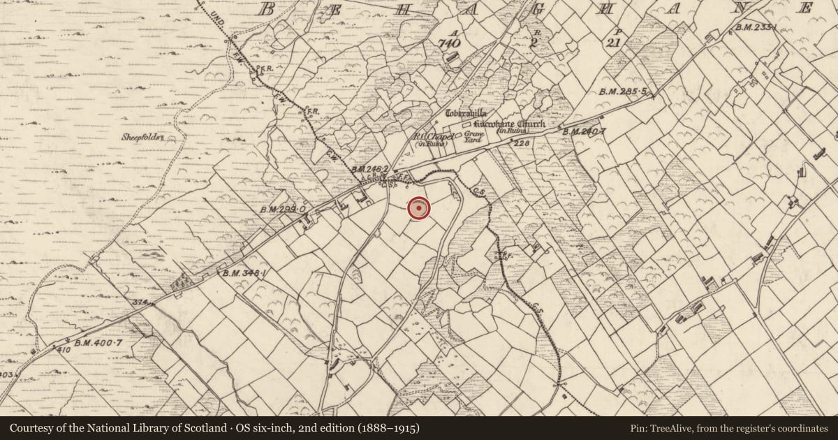 Ordnance Survey six-inch map, 2nd edition (1888–1915) covering the location of Ringfort - rath, Coad, County Kerry, with a pin at the register's coordinates
