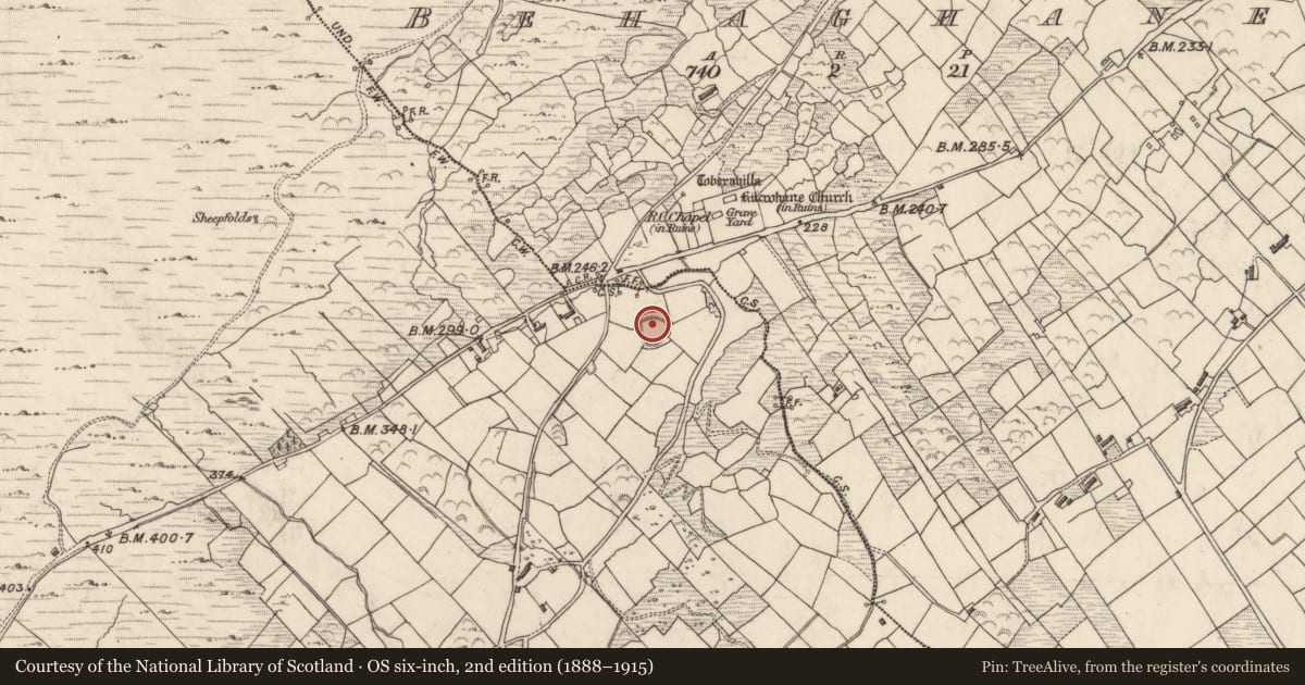 Ordnance Survey six-inch map, 2nd edition (1888–1915) covering the location of Hut site, Coad, County Kerry, with a pin at the register's coordinates