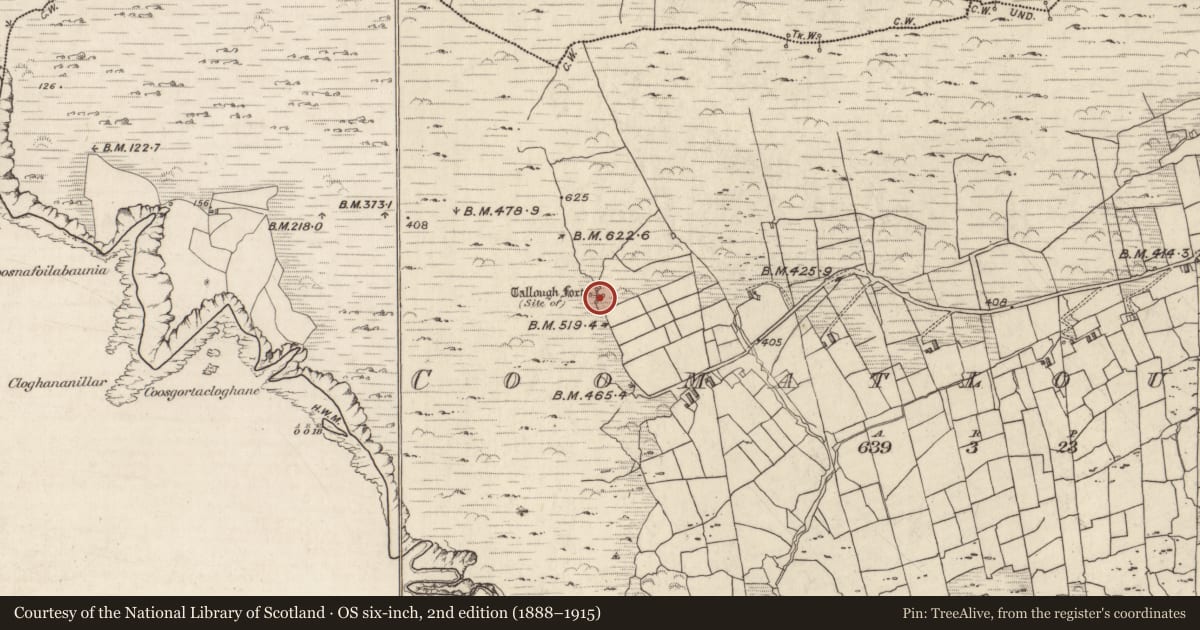 Ordnance Survey six-inch map, 2nd edition (1888–1915) covering the location of Ringfort - rath, Com An Tsleabhcháin, County Kerry, with a pin at the register's coordinates