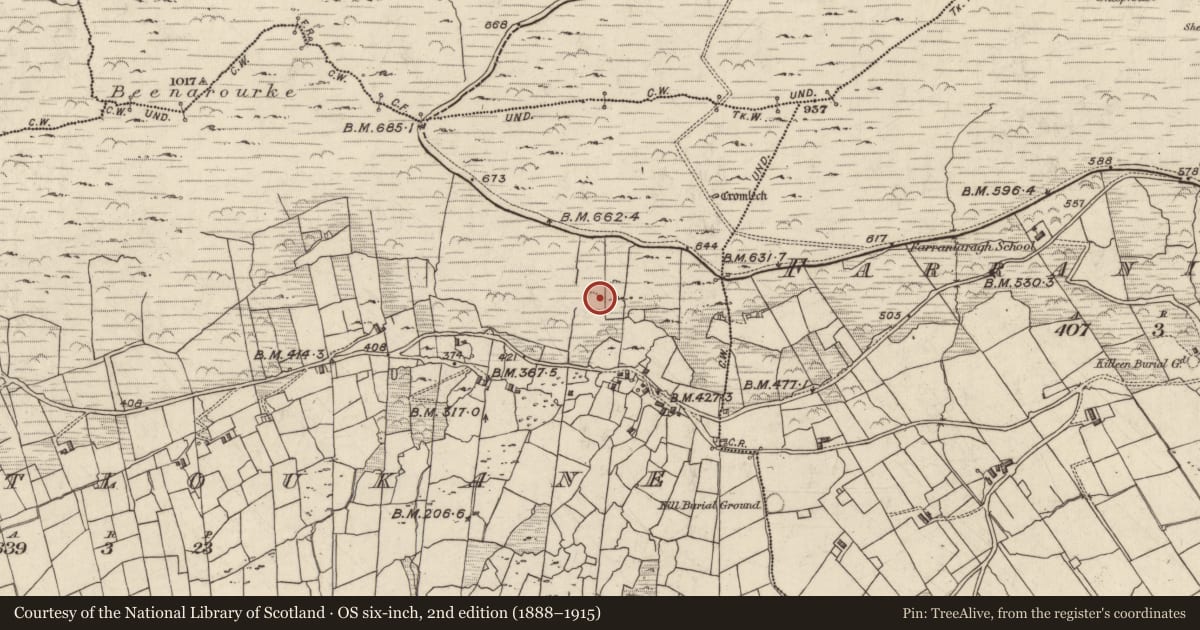Ordnance Survey six-inch map, 2nd edition (1888–1915) covering the location of Megalithic tomb - wedge tomb, Com An Tsleabhcháin, County Kerry, with a pin at the register's coordinates
