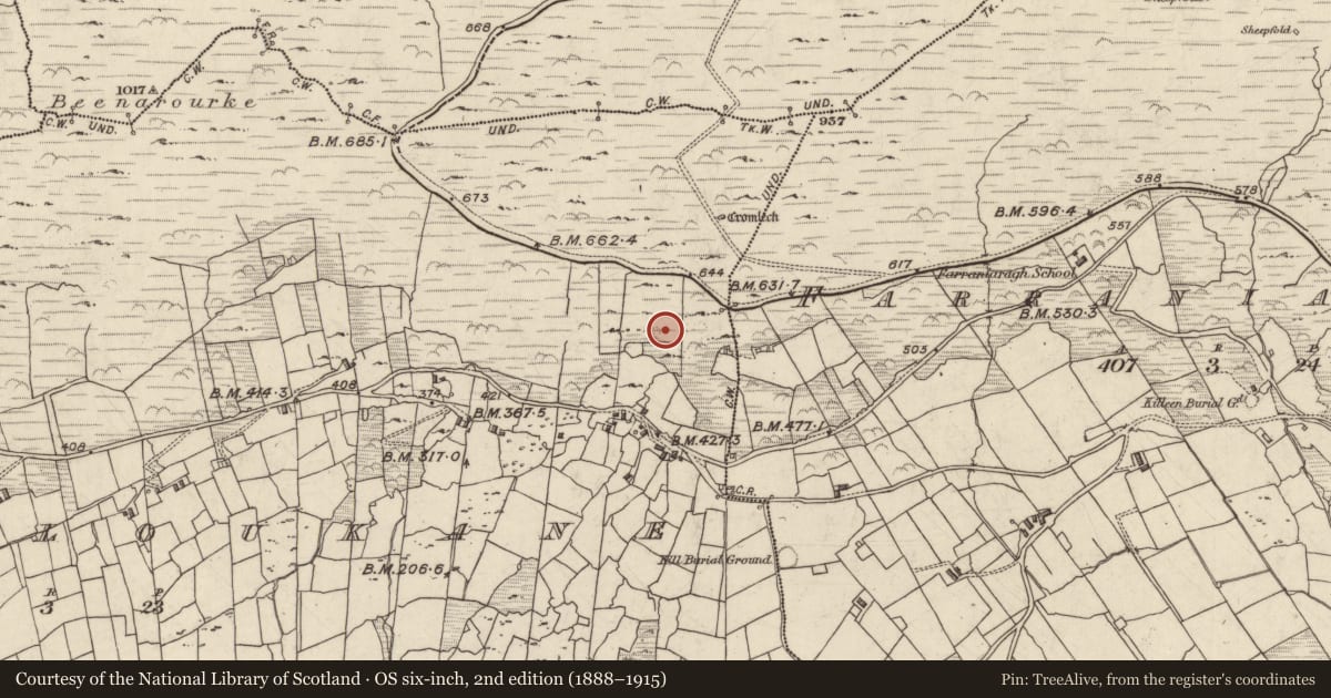 Ordnance Survey six-inch map, 2nd edition (1888–1915) covering the location of Megalithic tomb - wedge tomb, Com An Tsleabhcháin, County Kerry, with a pin at the register's coordinates