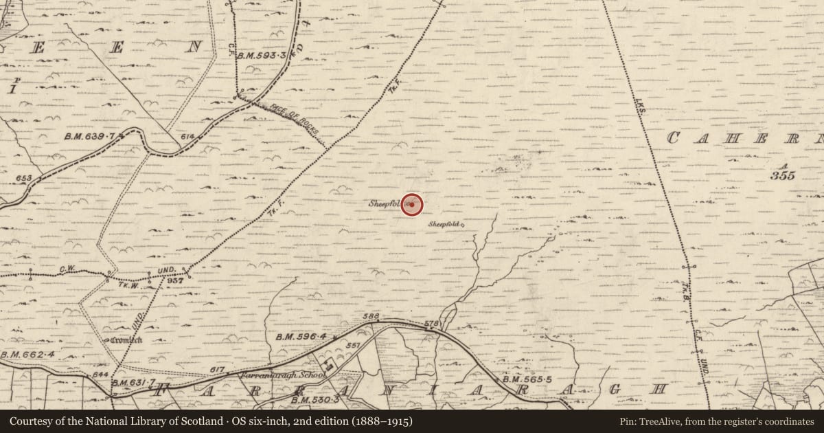 Ordnance Survey six-inch map, 2nd edition (1888–1915) covering the location of Field system, An Fearann Iarthach, County Kerry, with a pin at the register's coordinates