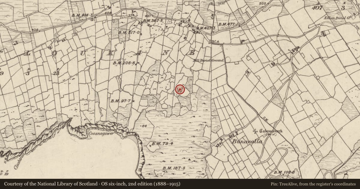 Ordnance Survey six-inch map, 2nd edition (1888–1915) covering the location of Megalithic tomb - wedge tomb, Com An Tsleabhcháin, County Kerry, with a pin at the register's coordinates