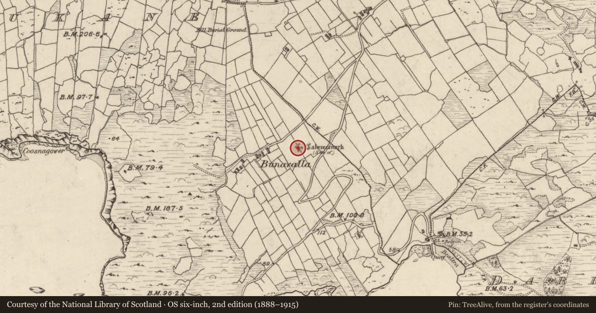 Ordnance Survey six-inch map, 2nd edition (1888–1915) covering the location of Ringfort - cashel, Com An Tsleabhcháin, County Kerry, with a pin at the register's coordinates