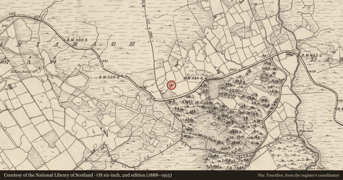Ordnance Survey six-inch map, 2nd edition (1888–1915) covering the location of Ringfort - cashel, Cathair Na Gaoithe, County Kerry, with a pin at the register's coordinates