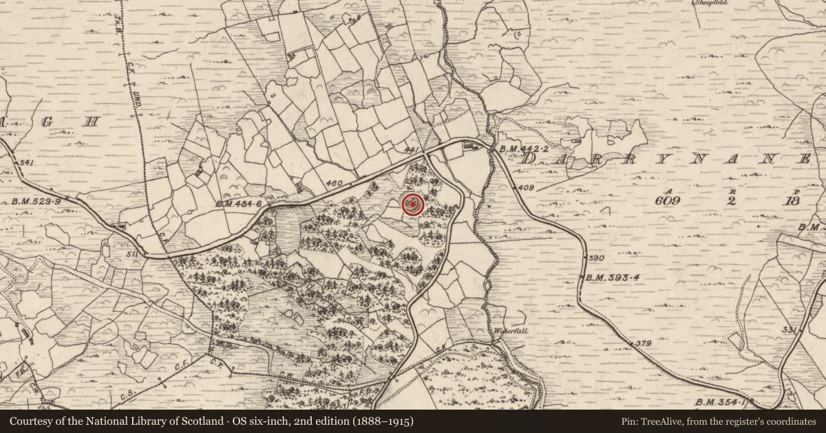 Ordnance Survey six-inch map, 2nd edition (1888–1915) covering the location of Ringfort - rath, Cathair Na Gaoithe, County Kerry, with a pin at the register's coordinates