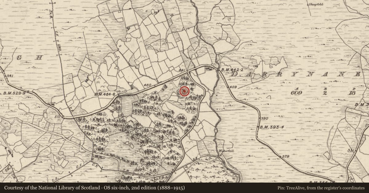 Ordnance Survey six-inch map, 2nd edition (1888–1915) covering the location of Souterrain, Cathair Na Gaoithe, County Kerry, with a pin at the register's coordinates