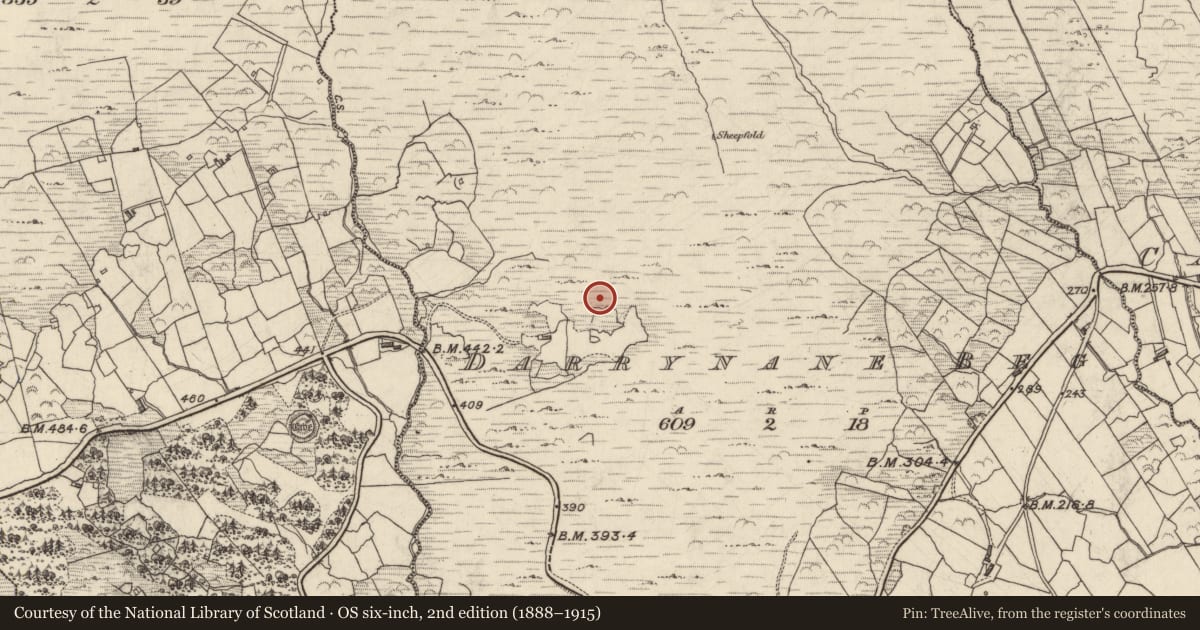 Ordnance Survey six-inch map, 2nd edition (1888–1915) covering the location of Souterrain, Doire Fhionáin Beag, County Kerry, with a pin at the register's coordinates