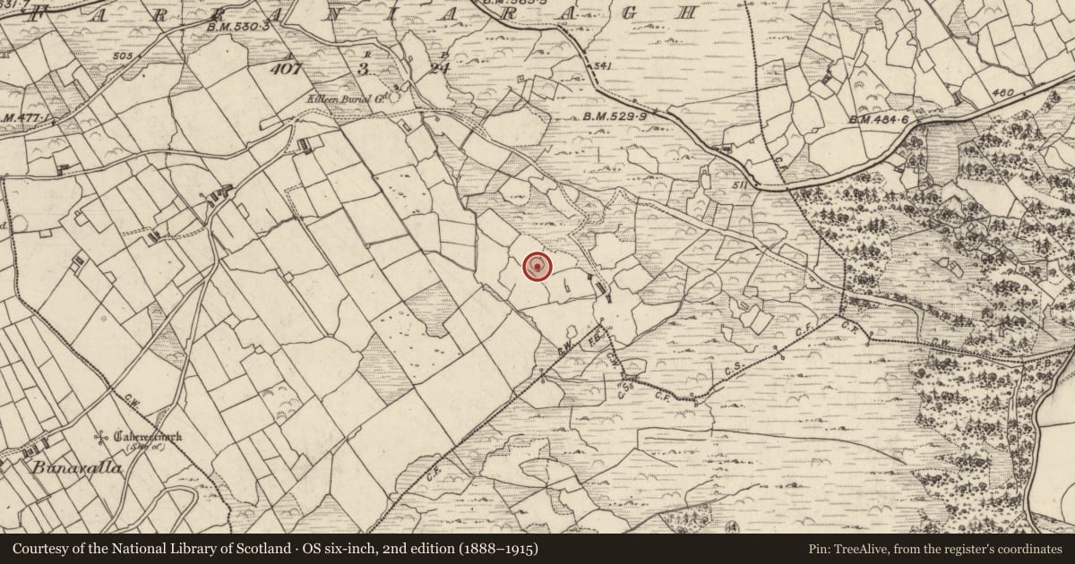 Ordnance Survey six-inch map, 2nd edition (1888–1915) covering the location of Ringfort - cashel, An Fearann Iarthach, County Kerry, with a pin at the register's coordinates