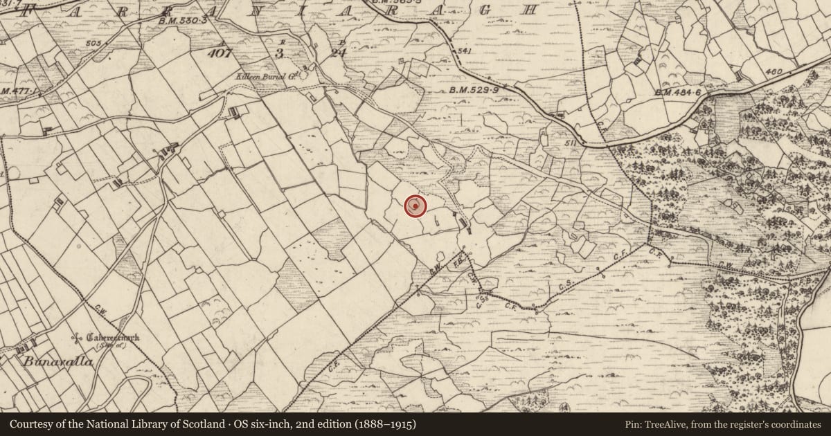 Ordnance Survey six-inch map, 2nd edition (1888–1915) covering the location of Hut site, An Fearann Iarthach, County Kerry, with a pin at the register's coordinates