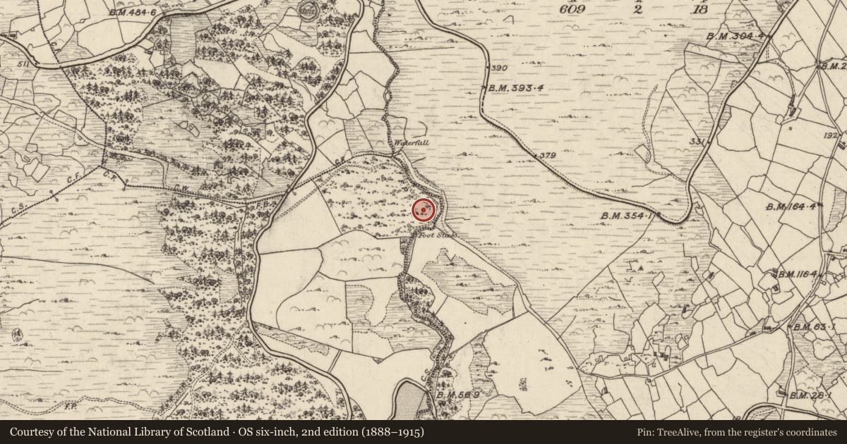 Ordnance Survey six-inch map, 2nd edition (1888–1915) covering the location of Ringfort - cashel, Doire Fhionáin Mór, County Kerry, with a pin at the register's coordinates
