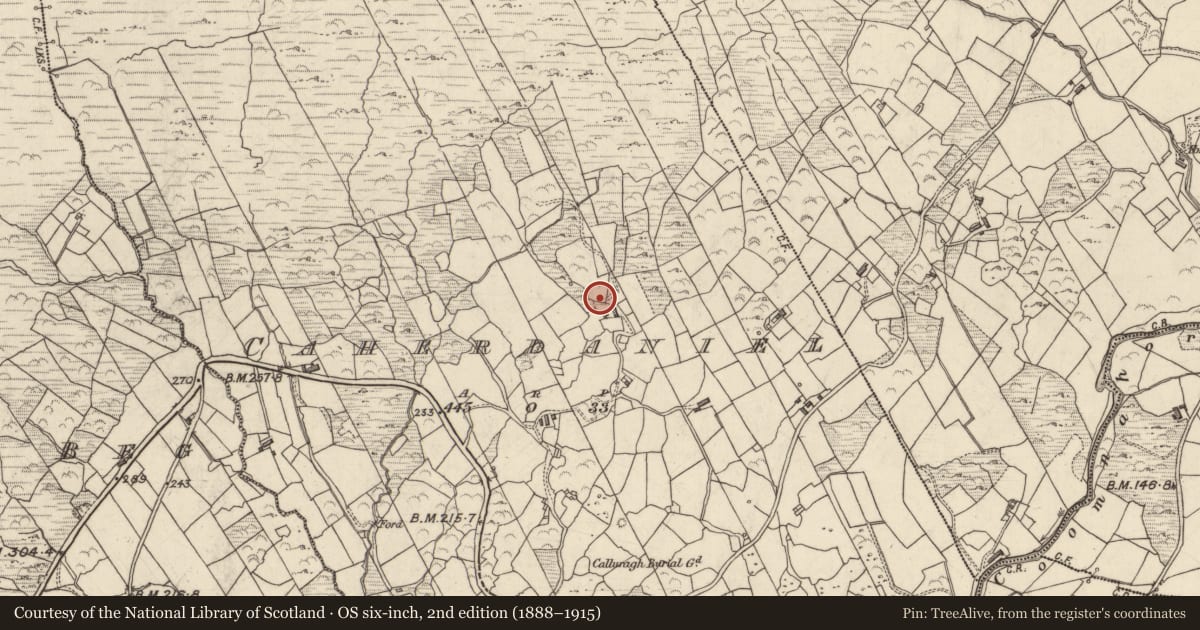 Ordnance Survey six-inch map, 2nd edition (1888–1915) covering the location of Children's burial ground, Caherdaniel, County Kerry, with a pin at the register's coordinates