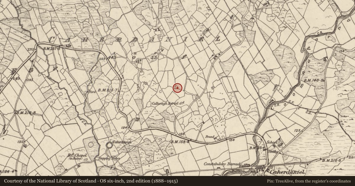 Ordnance Survey six-inch map, 2nd edition (1888–1915) covering the location of Hut site, Caherdaniel, County Kerry, with a pin at the register's coordinates