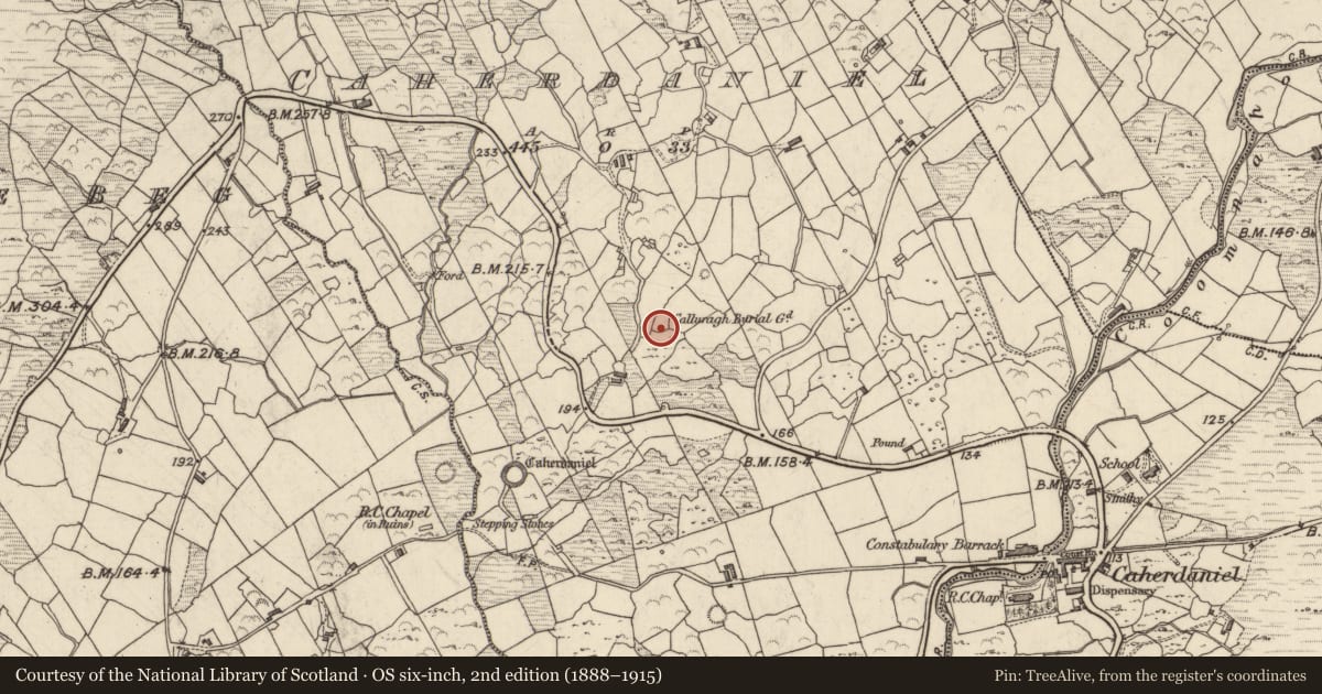 Ordnance Survey six-inch map, 2nd edition (1888–1915) covering the location of Children's burial ground, Caherdaniel, County Kerry, with a pin at the register's coordinates