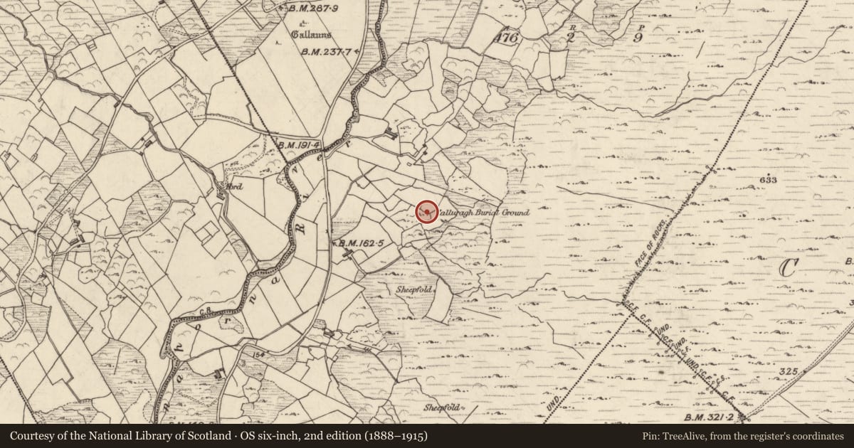 Ordnance Survey six-inch map, 2nd edition (1888–1915) covering the location of Children's burial ground, Garrough, County Kerry, with a pin at the register's coordinates